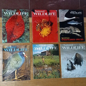 (6) National Wildlife- full set of vintage publications from 1974! B10